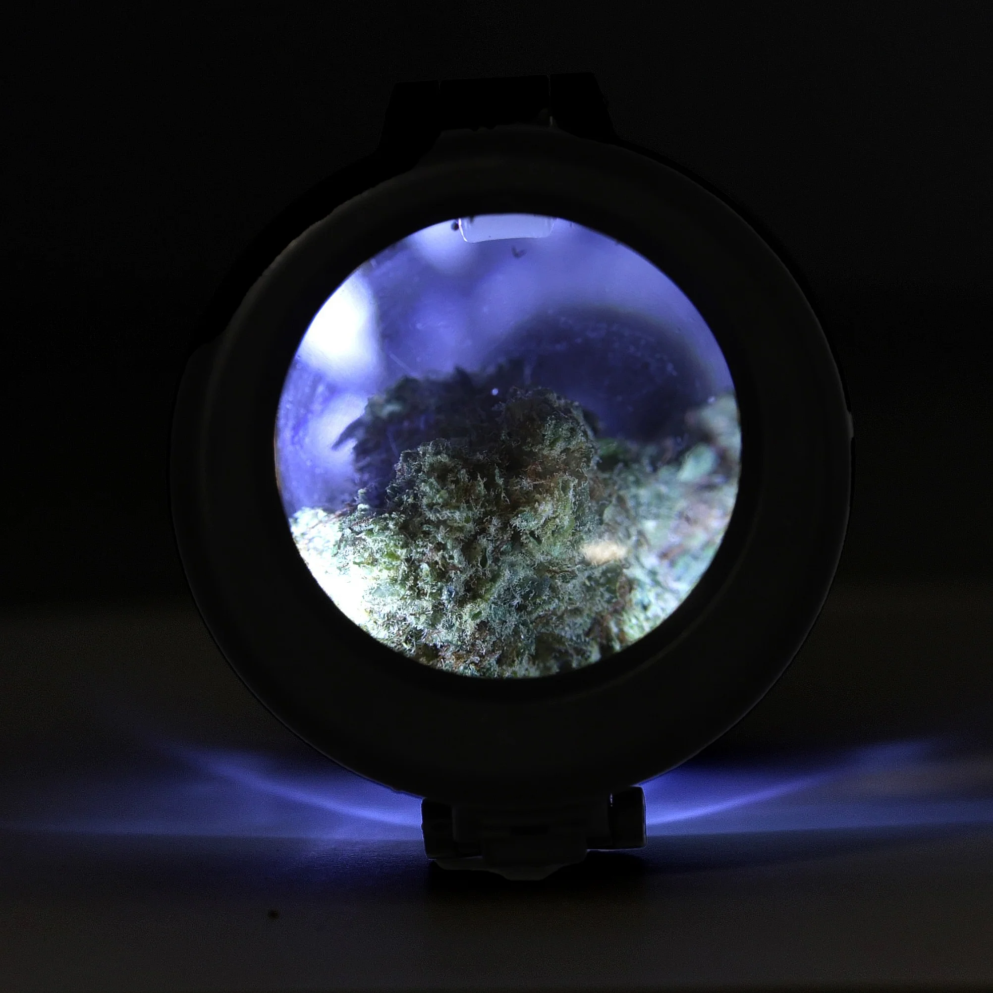 Glow Jar - Image 3