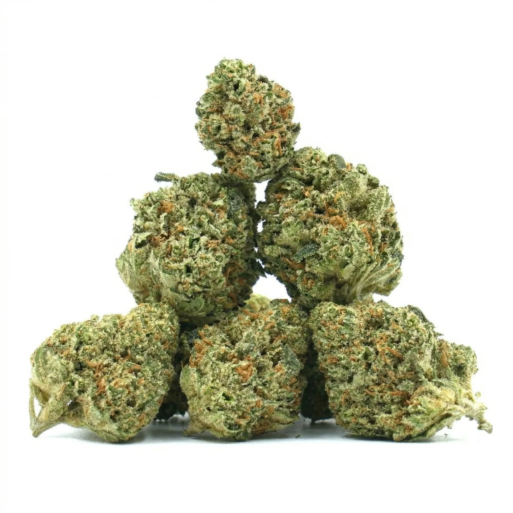 SMALL BUD CALI DREAM
